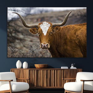 Texas Longhorn Canvas Wall Art - Longhorn Steer Canvas Wall