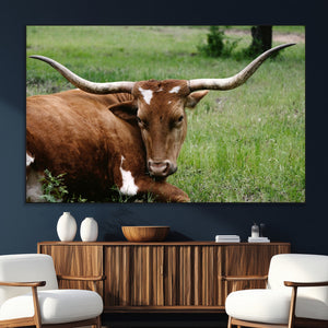 Longhorn Cow Animal Wall Art Canvas Print