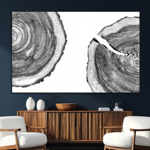 Abstract Large Tree Rings – Minimalist Black and White Wood