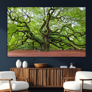 Framed Angel Oak Tree Wall Art - 3-Panel Canvas Prints,