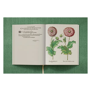 Basilius Besler. The Garden at Eichstätt (German, French, English) (FFE)