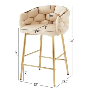Modern Counter Stools (Set of 2)