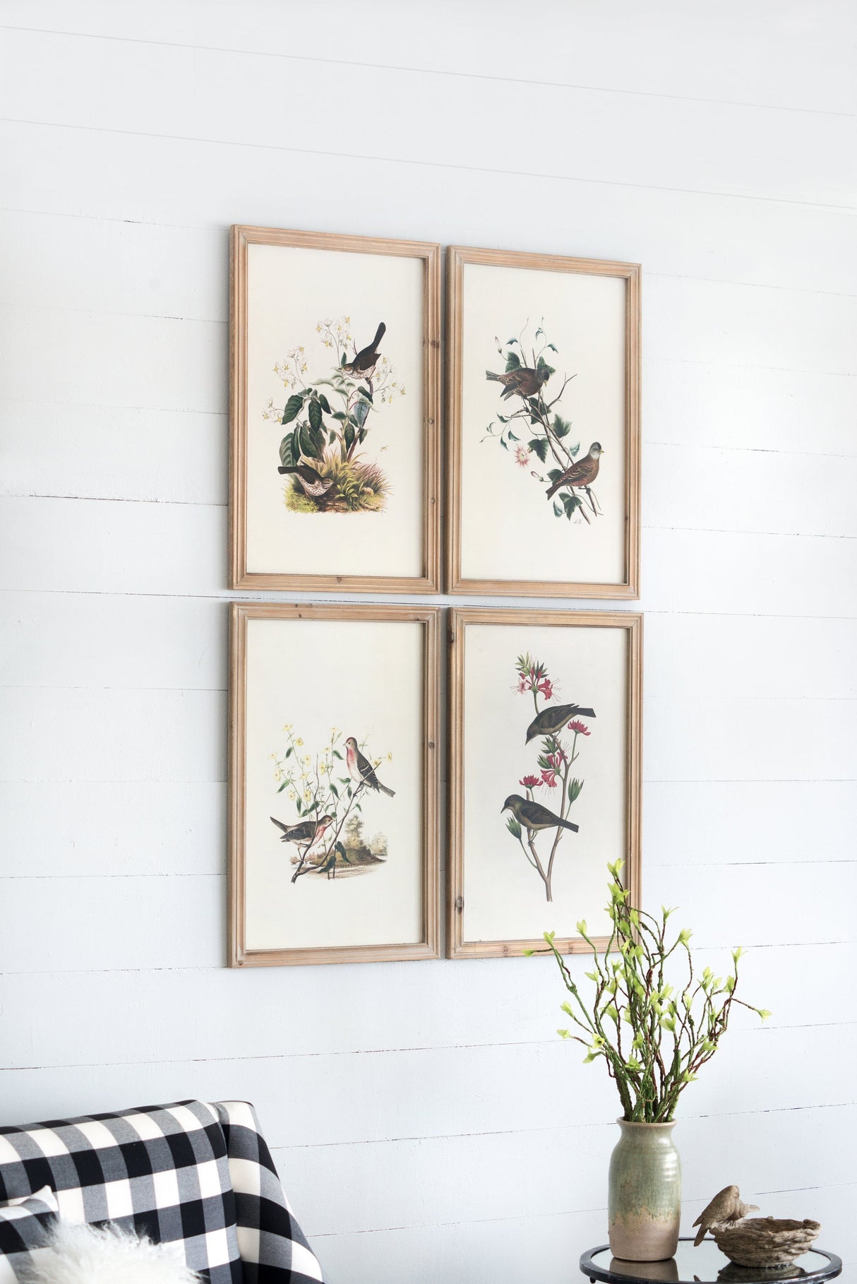 Set of 4 Bird Framed Prints