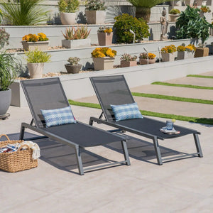 Myers Modern Chaise Lounge Set With Adjustable Back
