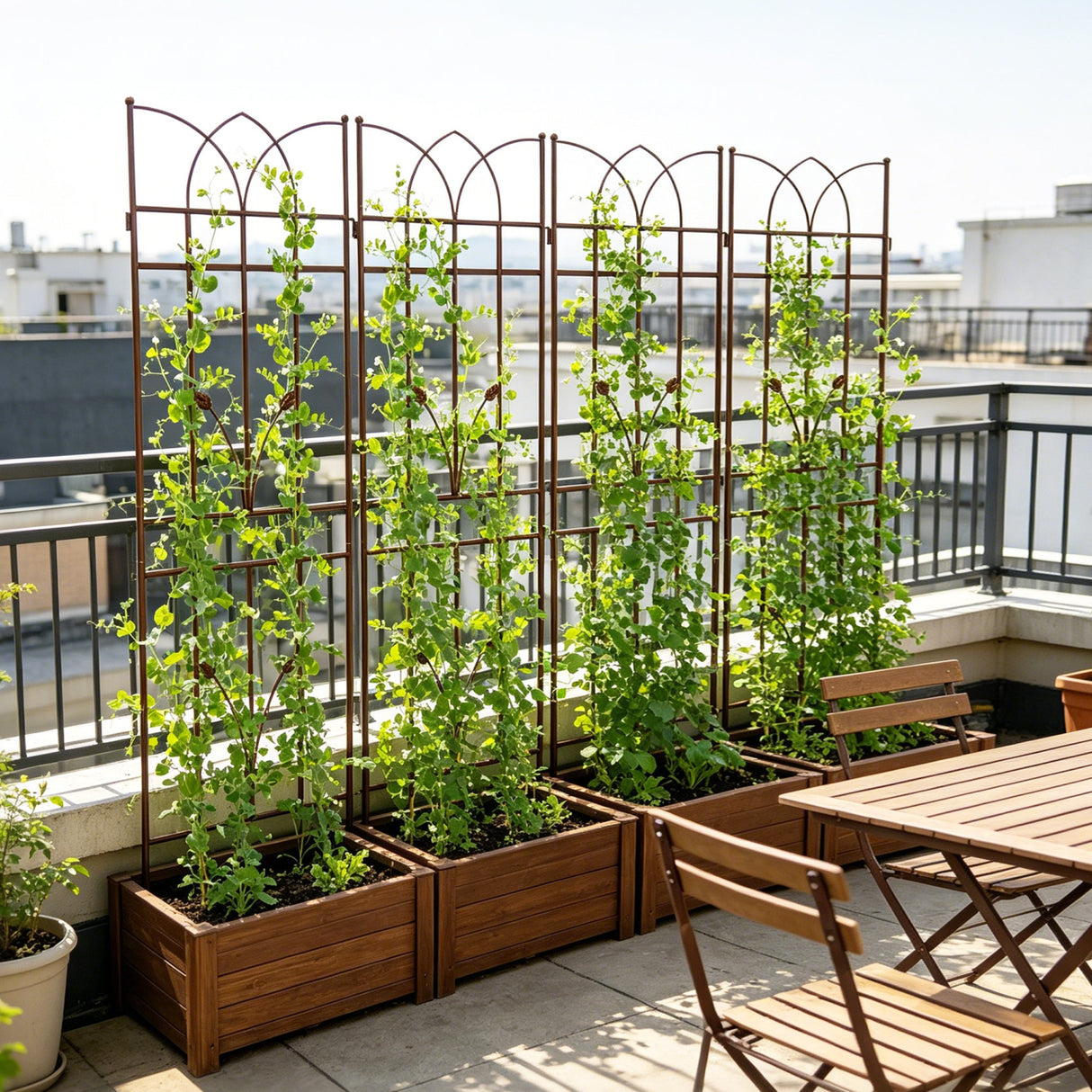 4 Pack Metal Garden Trellis