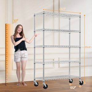 5-Shelf Wire Storage Shelving Unit
