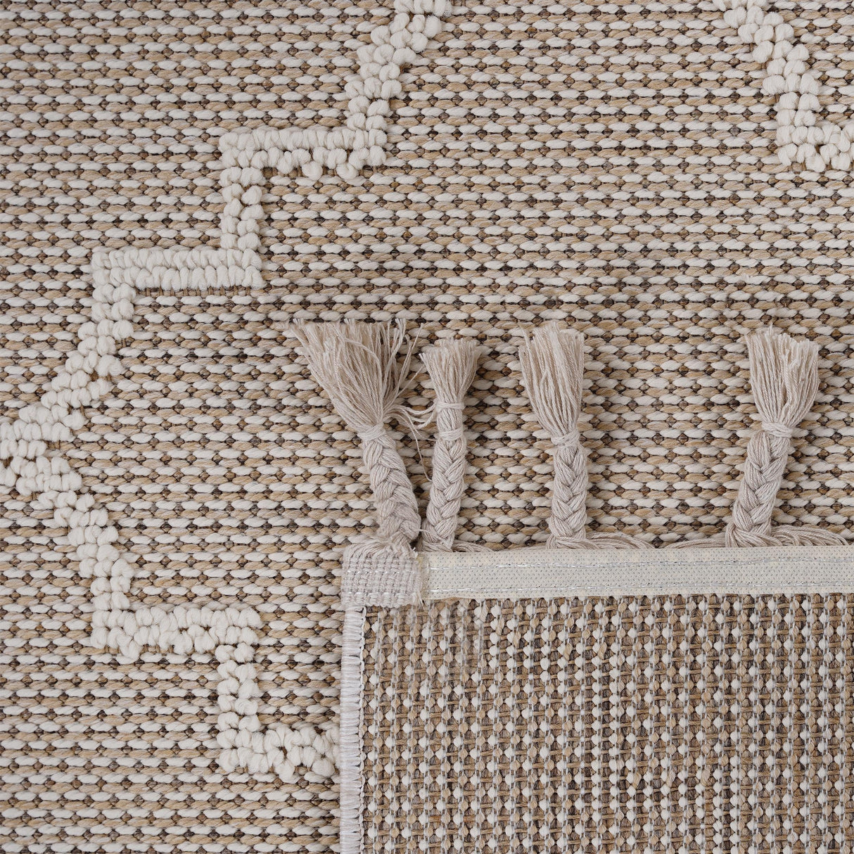 NAAR Guros Collection Trellis Indoor/Outdoor Area Rug