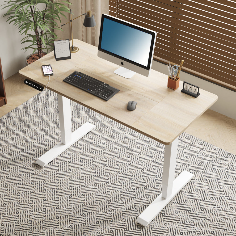 55"×24" Light Electric Standing Desk