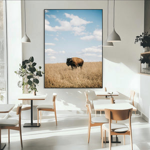 Bison Photography Wall Art Canvas Print – Framed Western
