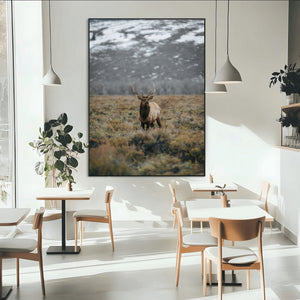 Wild Elk Wall Art Canvas Print – Framed Mountain Wilderness