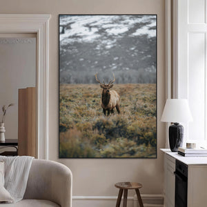 Wild Elk Wall Art Canvas Print – Framed Mountain Wilderness