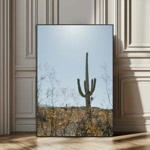 Saguaro Cactus Wall Art Canvas Print – Framed Southwestern