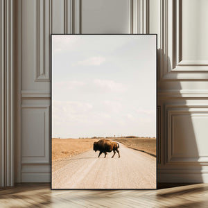 Bison Crossing Wall Art Canvas Print – Framed Western