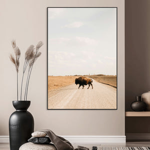 Bison Crossing Wall Art Canvas Print – Framed Western