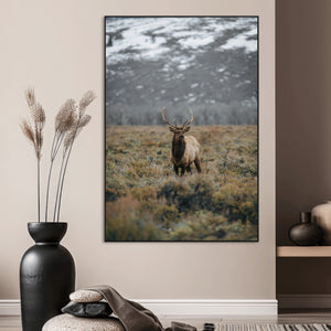 Wild Elk Wall Art Canvas Print – Framed Mountain Wilderness