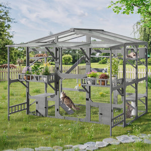 Large Outdoor Catio for 6-10 Cats
