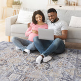 NAAR PAYAS Traditional Non-Shedding and Stain Resistant Area Rug