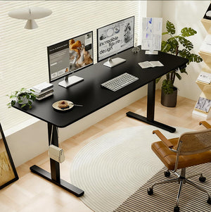 Polaris Electric Standing Desk - 55"×24"