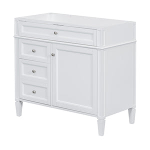 Bathroom Vanity With 2 Drawers and Tip-Out Drawer Storage Cabinet