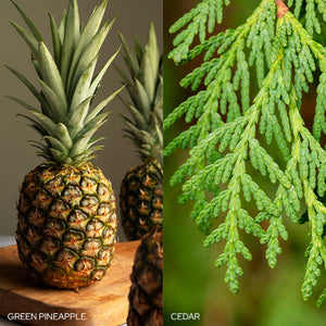 Fresh Balsam Fir Candle by Old World Christmas