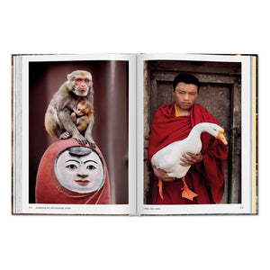 Steve McCurry. Animals (English)