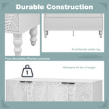 47.2'' Modern TV Stand with 2 Spacious Storage Cabinets