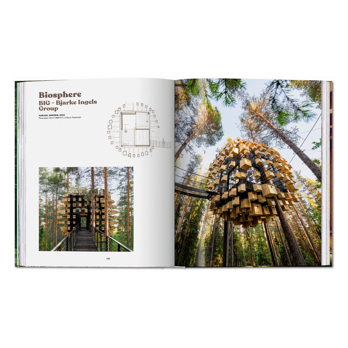 Modern Tree Houses (English)