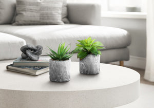 6" Tall, Artificial Plant, Succulent, Indoor, Faux, Fake, Table, Greenery, Potted, Decorative (Set of 2) - Green / Gray