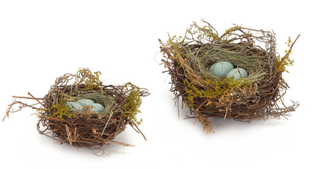 Birds nest with eggs (set of 12)