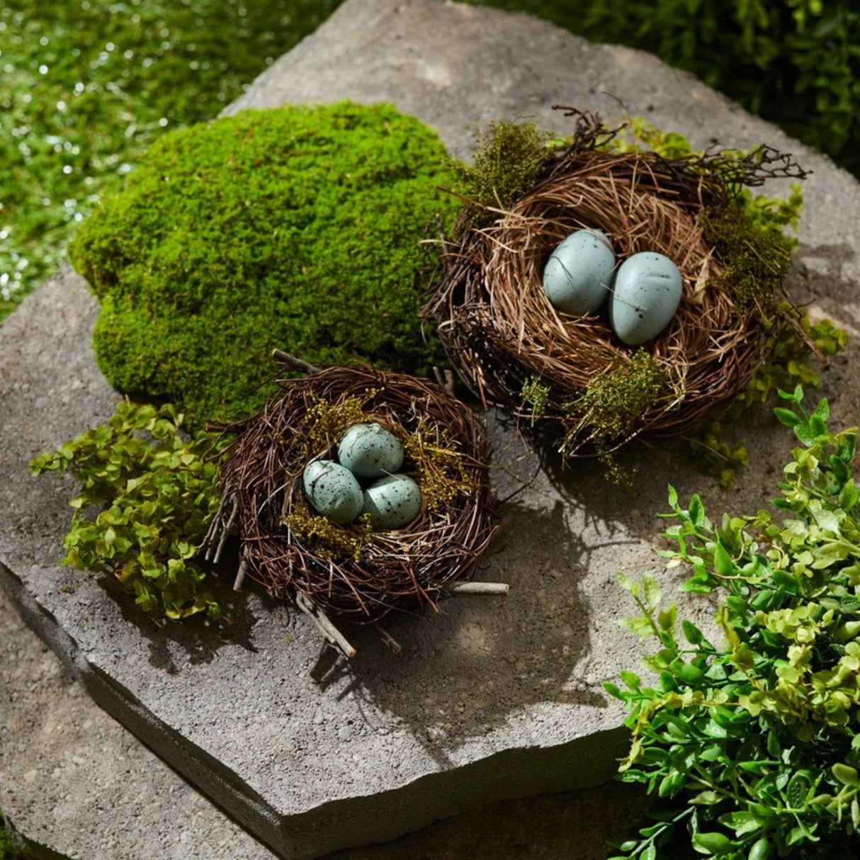 Birds Nest with Eggs (Set of 12)