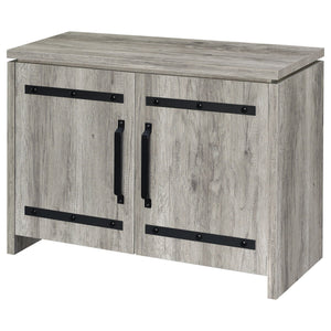 2 Door Accent Cabinet With Accents - Gray
