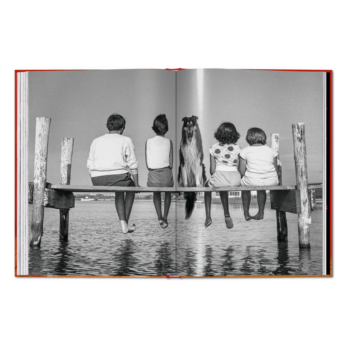 Walter Chandoha. Dogs. Photographs 1941–1991 (English)