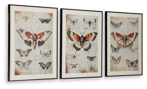 Jossletts - Wall Art Set (Set of 3) - Orange / Black / Ivory