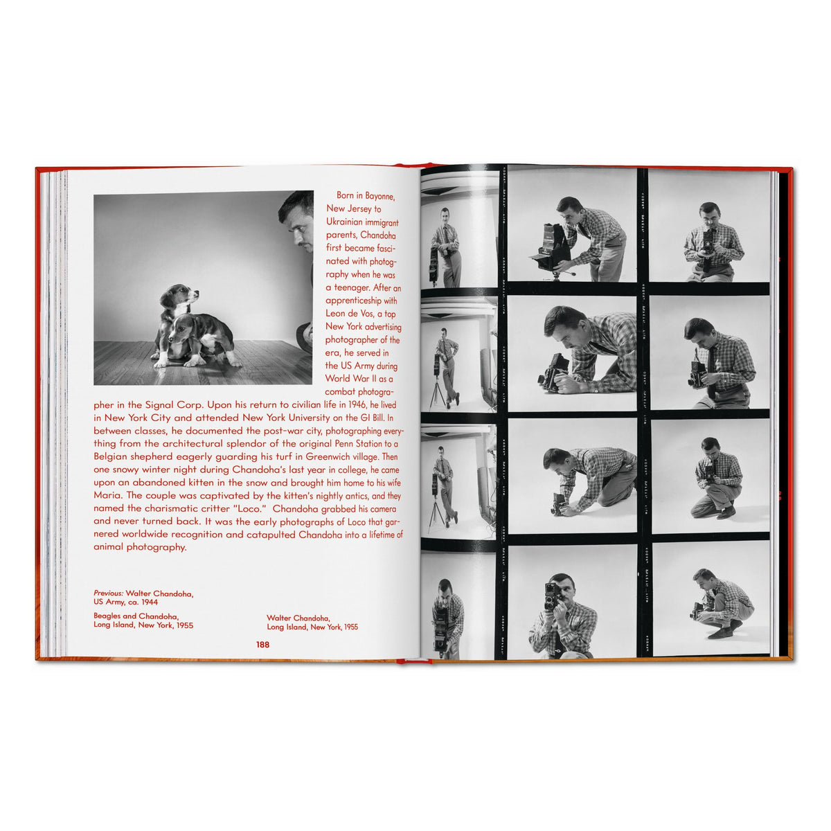 Walter Chandoha. Dogs. Photographs 1941–1991 (English)