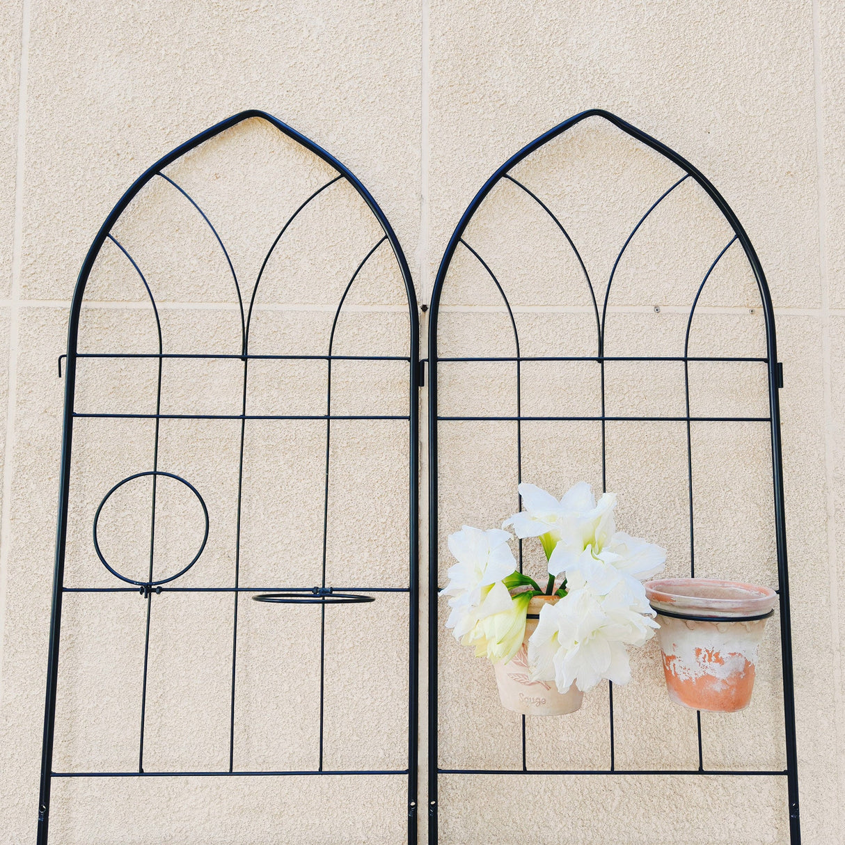 2 Pack Metal Garden Trellis 78.7" x 19.7"