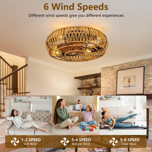 19" Caged Ceiling Fan with Light and Remote - Black