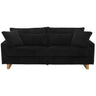Modern Loveseat Sofa With 4 Pillows