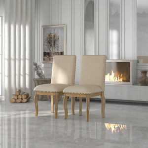 TREXM Set of 2 Dining Chairs