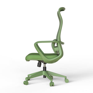 Ergonomic Colorful Office Chair