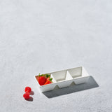 Lightning-Divided-Rectangular-Serving-Dish-Set-of-4-Plates