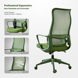Ergonomic Colorful Office Chair