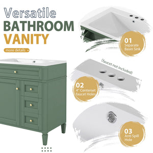 Bathroom Vanity With Top Sink, Storage Cabinet With 2 Drawers And Tip Out Drawer, Freestanding Set With Mirror Cabinet