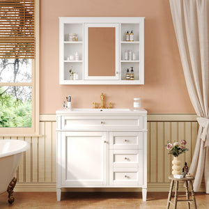 Bathroom Vanity With Top Sink, Storage Cabinet With Mirror