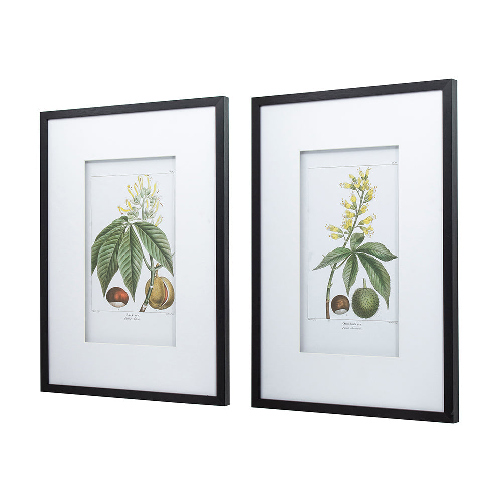 19.7x27.6' Botanical Wall Arts, Set of 2