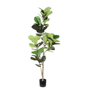 6Ft Real Touch Fake Fiddle Leaf Fig Tree In Pot