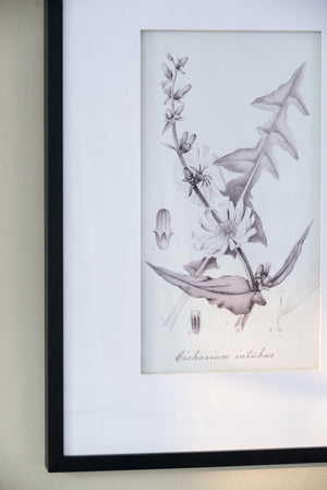 Botanical Wall Art Prints, Home Decor For Living Room Dining Room, Bedroom, Hallway (Set of 4) - White / Black