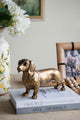 Decorative Accessories