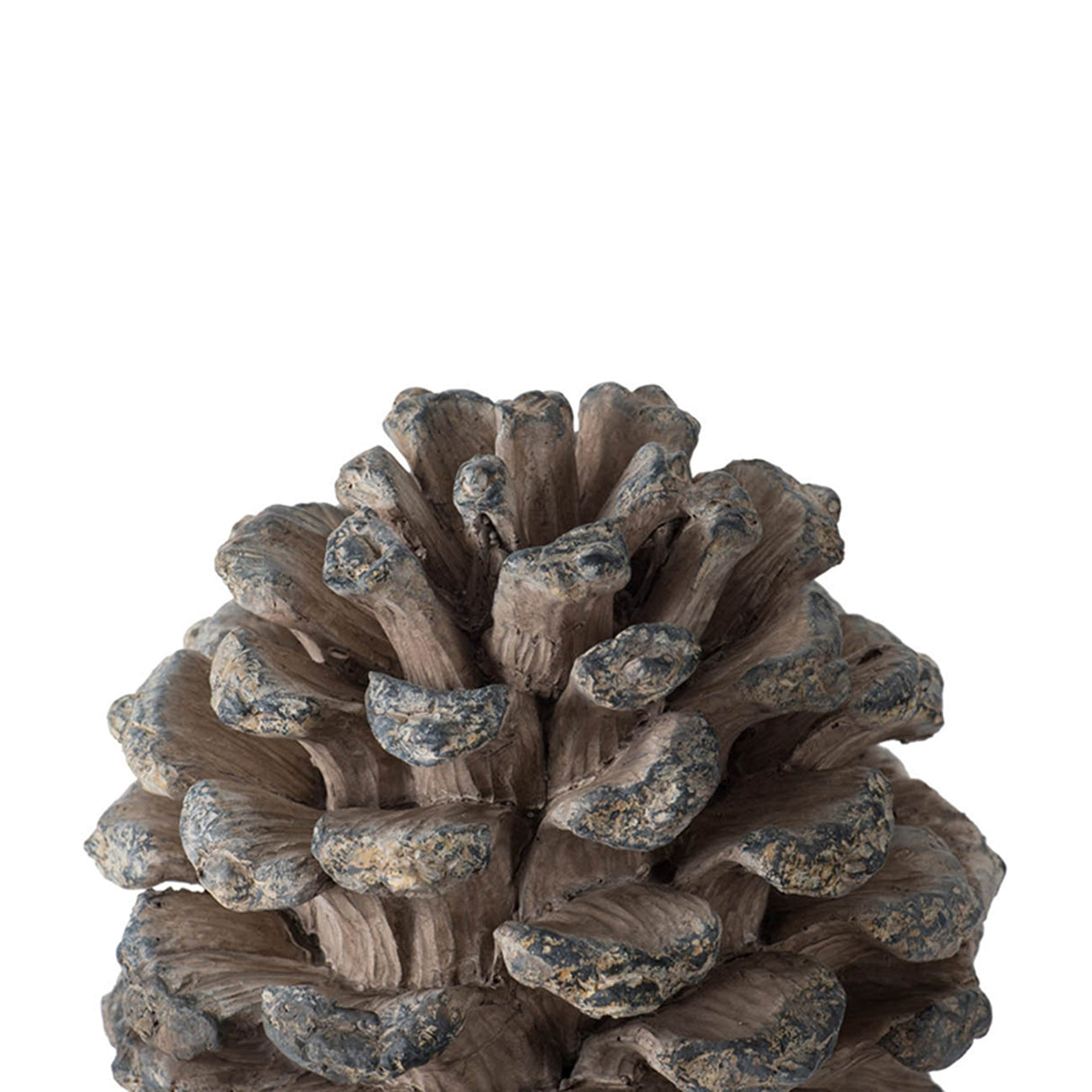 D7x10.5" Table Decor, Pinecone