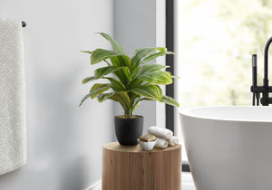17" Tall Artificial Dracaena Plant