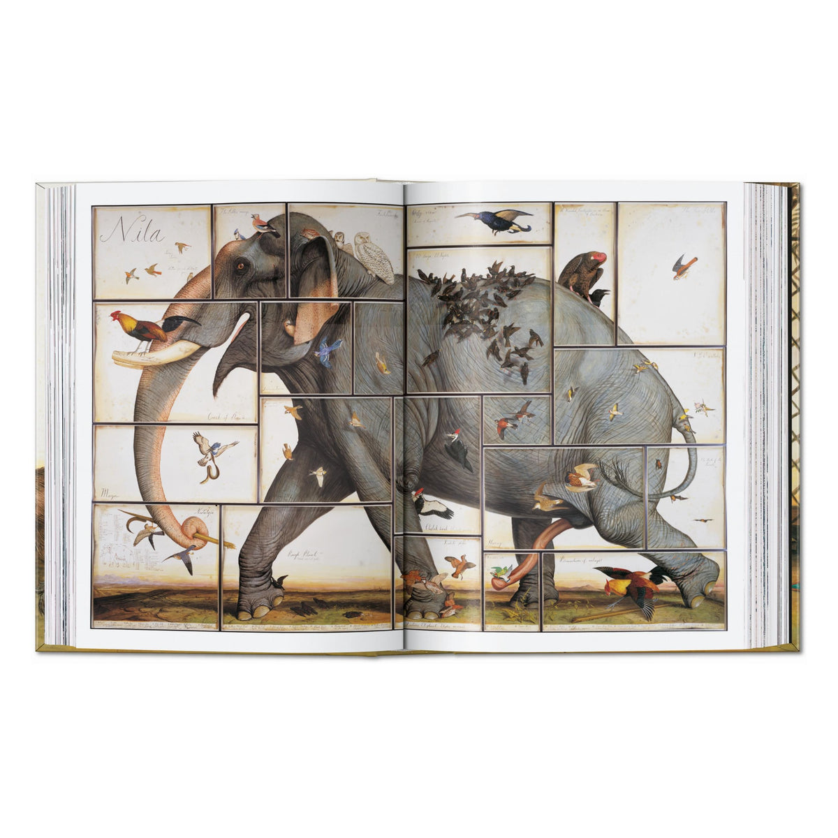 Walton Ford. 40th Ed. (German, French, English)